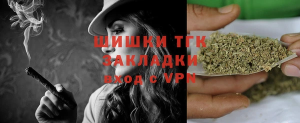 стаф Рославль
