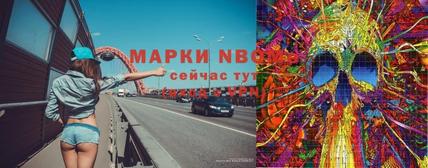 стаф Рославль