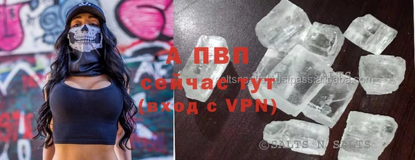 стаф Рославль